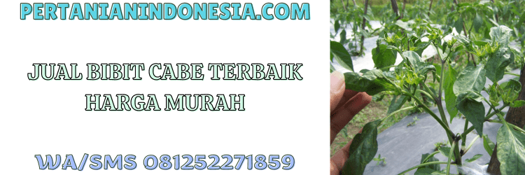 jual,murah,terjangkau,toko pertanian terdekat,pertanian indonesia